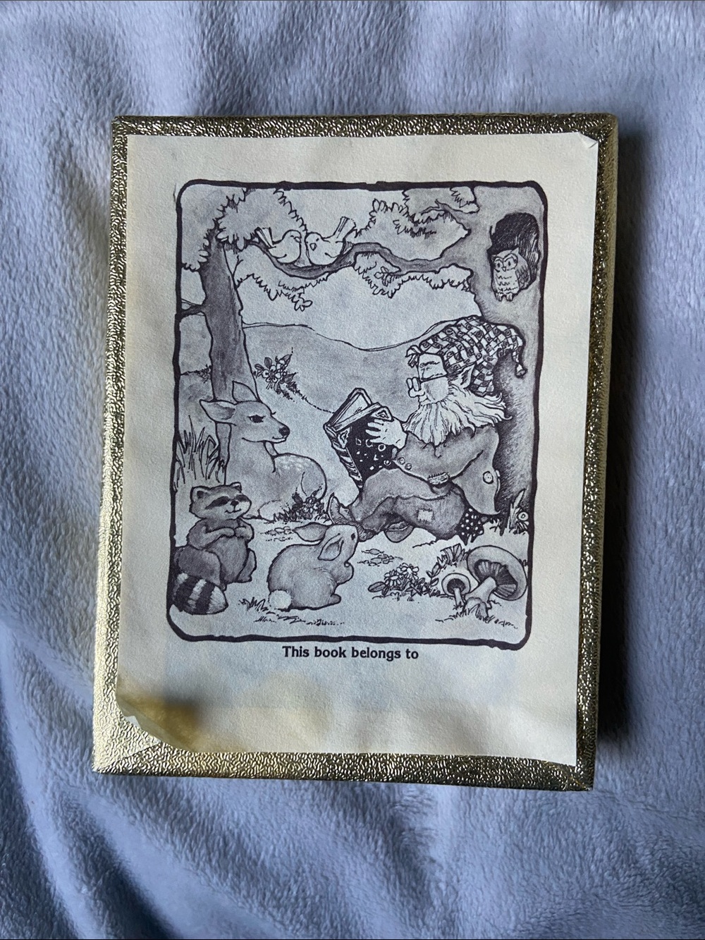 Vintage Antioch Bookplate Co Gnome Reading Woodland Animals Ex Libris Set of 48